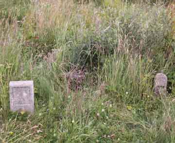 Clan markers