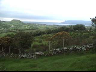 View from the grave