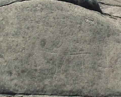 Pig pictograph
