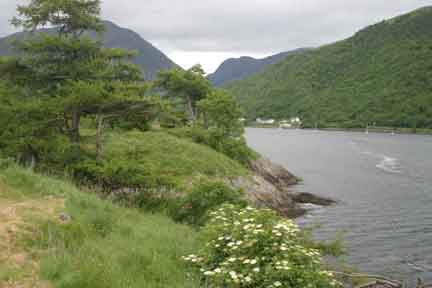 Side and greenery