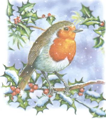 MacInnes holly