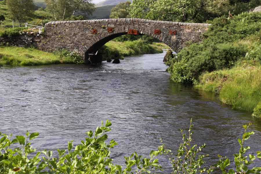 the bridge